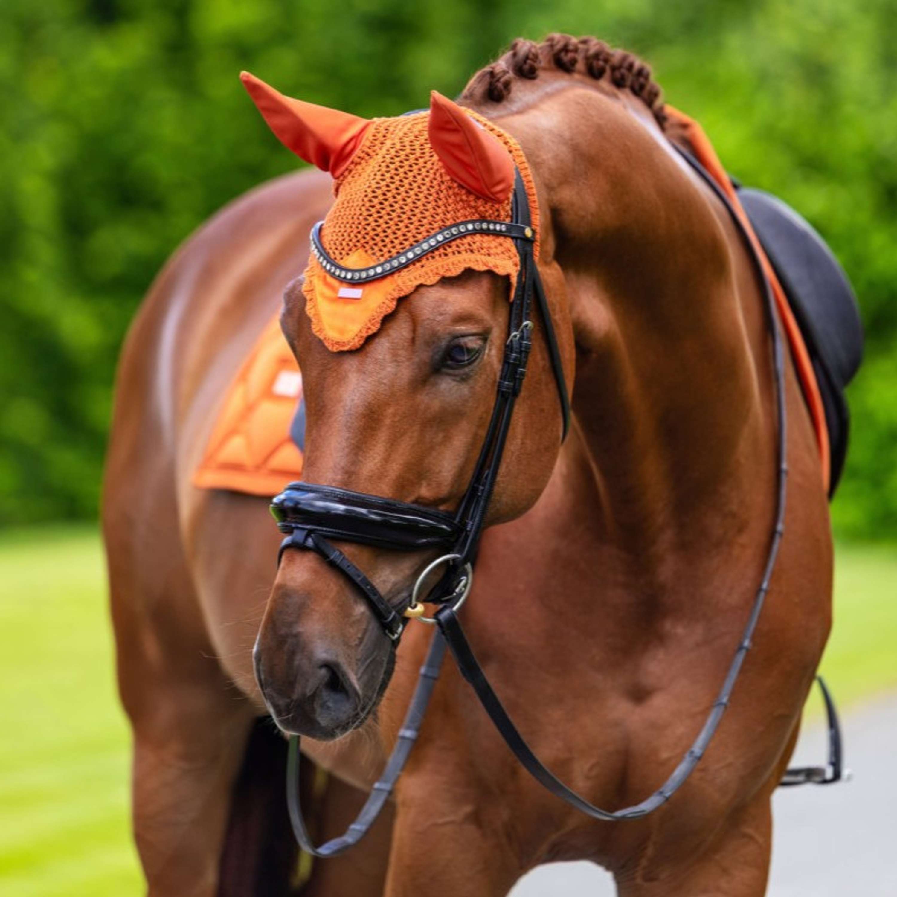 Equestrian Stockholm Oornetje Velvet Chestnut
