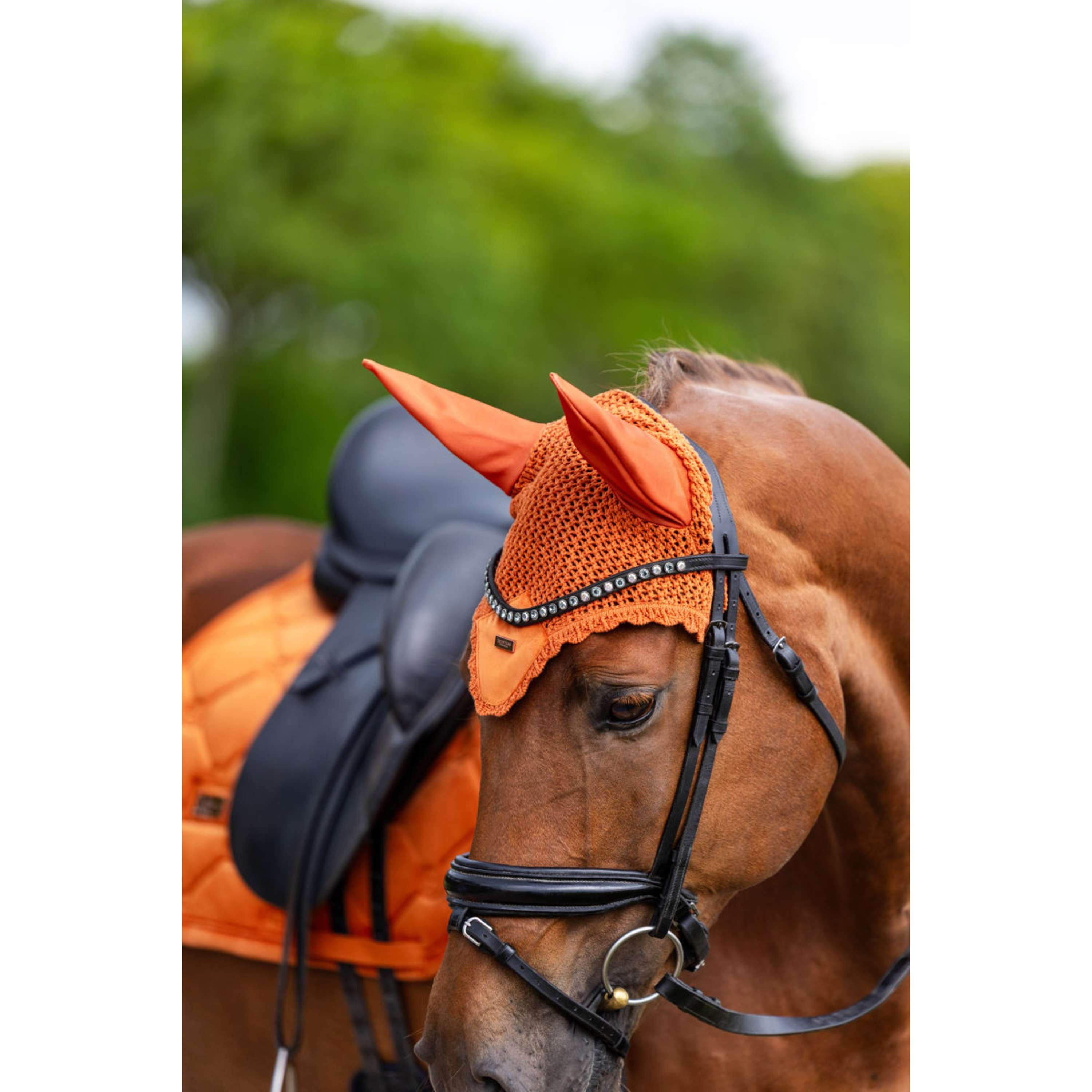 Equestrian Stockholm Oornetje Velvet Chestnut