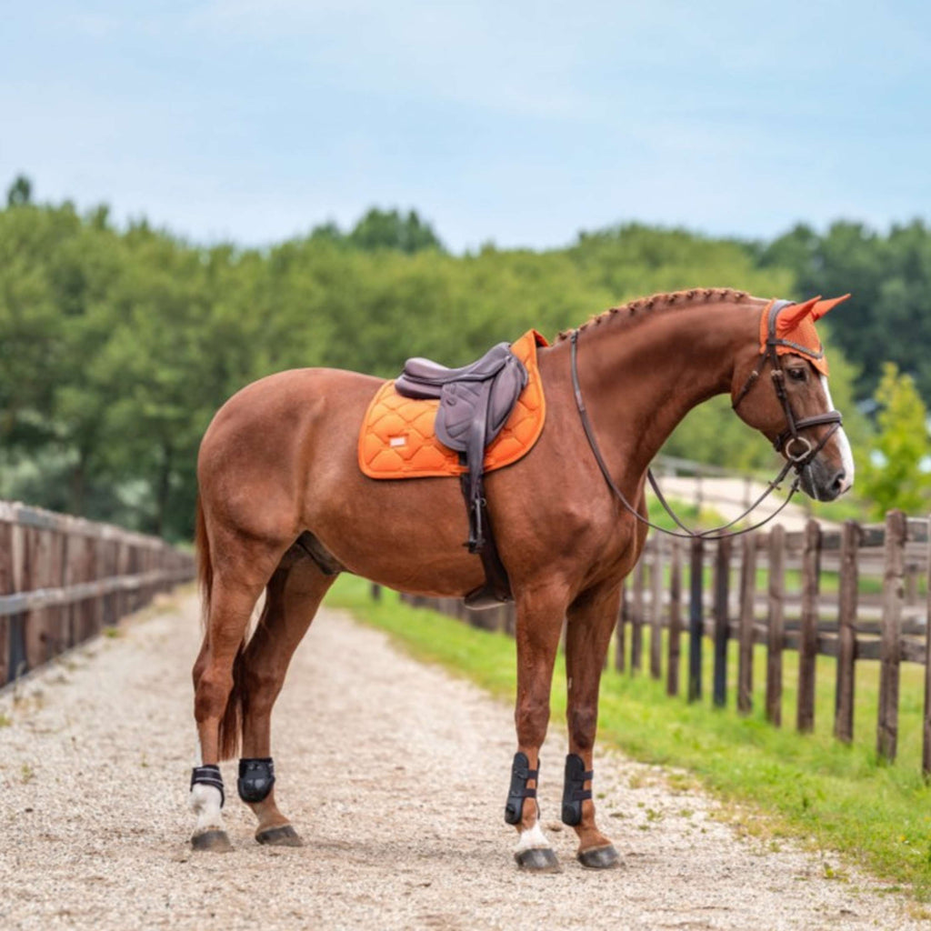 Equestrian Stockholm Zadeldekje Velvet Springen Chestnut