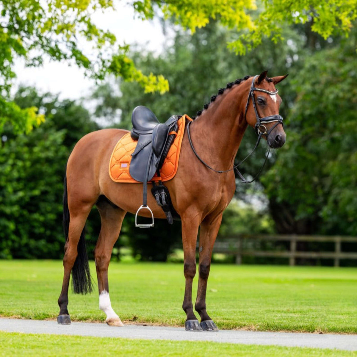 Equestrian Stockholm Zadeldekje Velvet Dressuur Chestnut