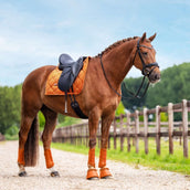 Equestrian Stockholm Springschoenen Chestnut