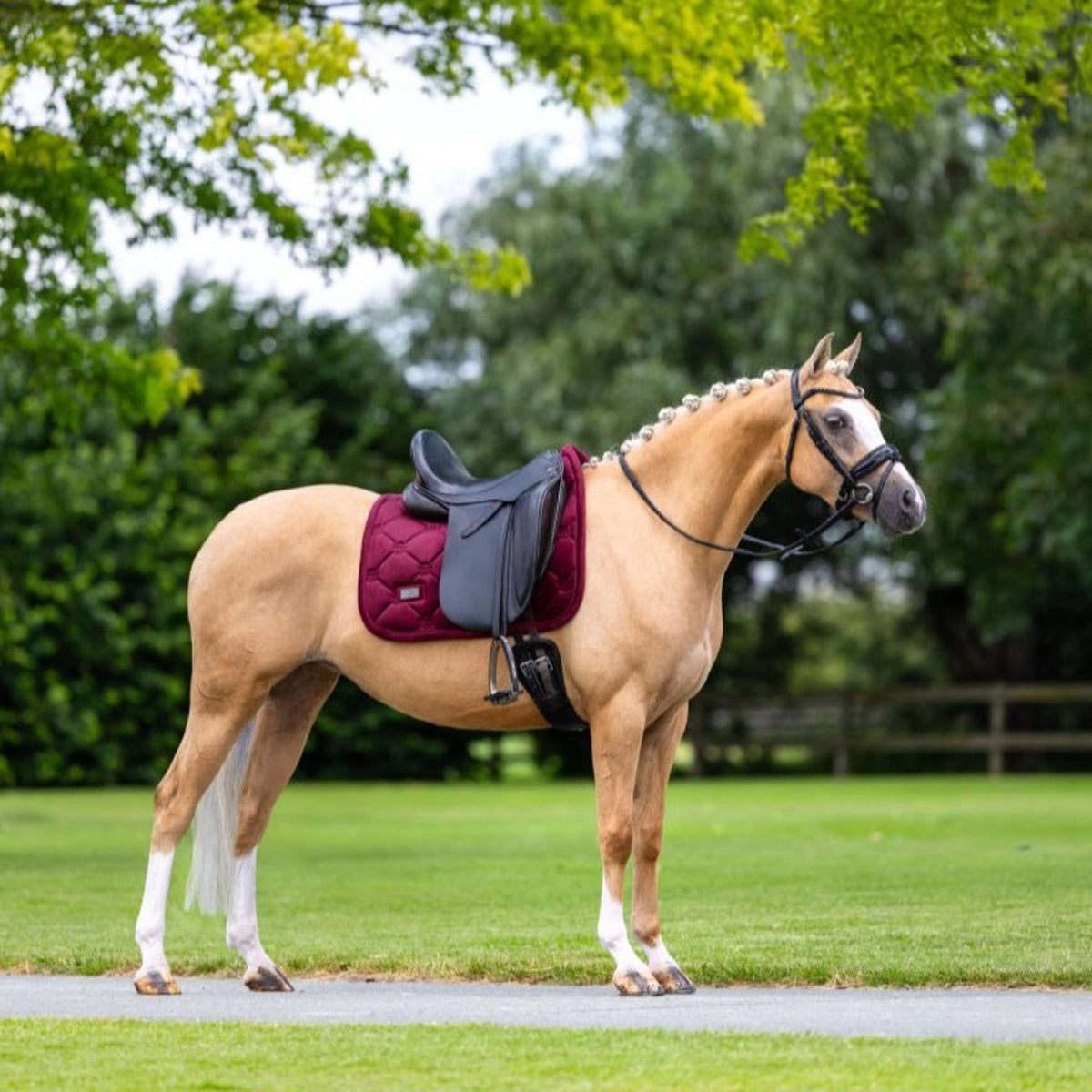 Equestrian Stockholm Zadeldekje Velvet Dressuur Merlot