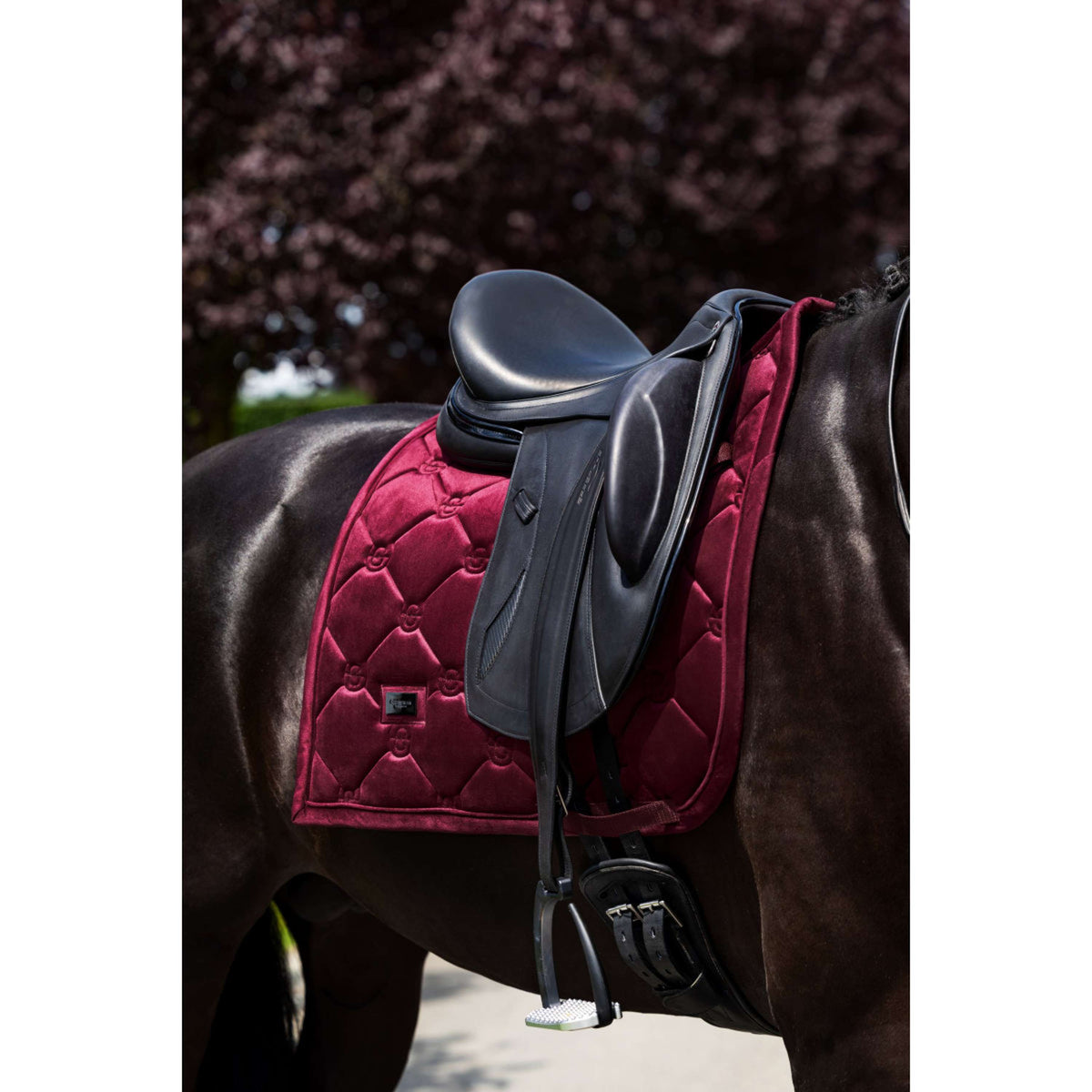 Equestrian Stockholm Zadeldekje Velvet Dressuur Merlot