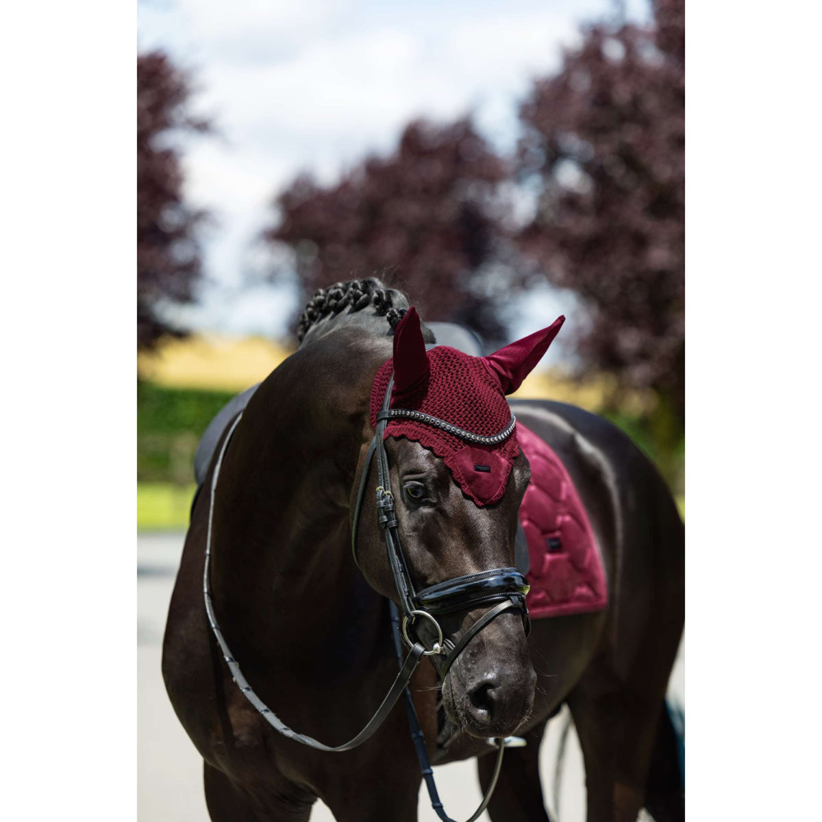 Equestrian Stockholm Oornetje Velvet Merlot