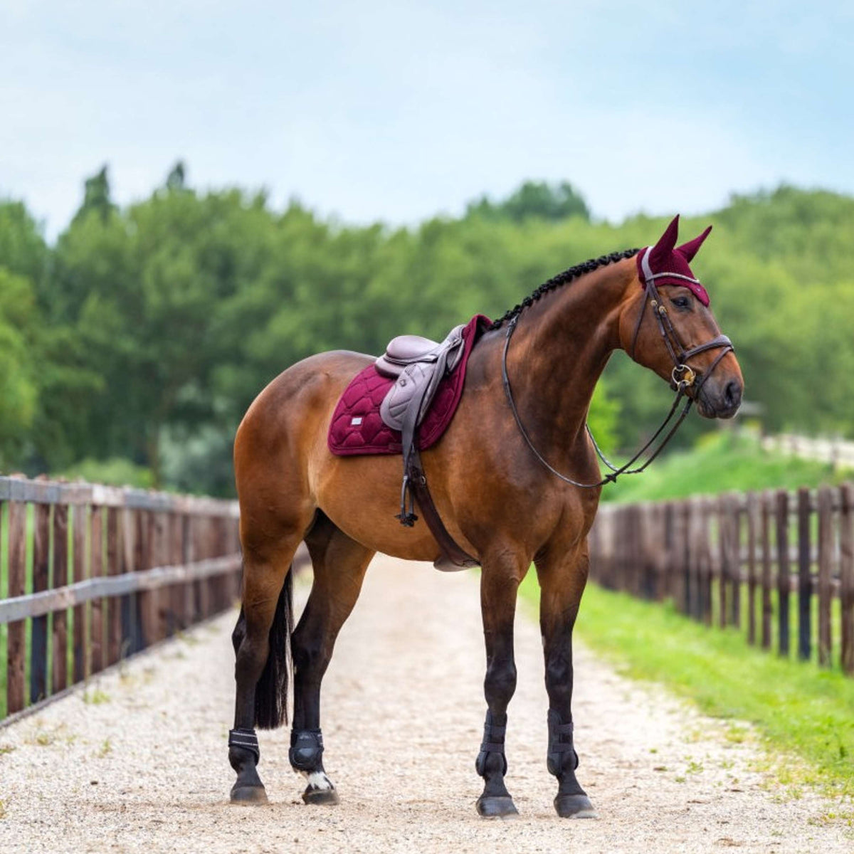 Equestrian Stockholm Oornetje Velvet Merlot
