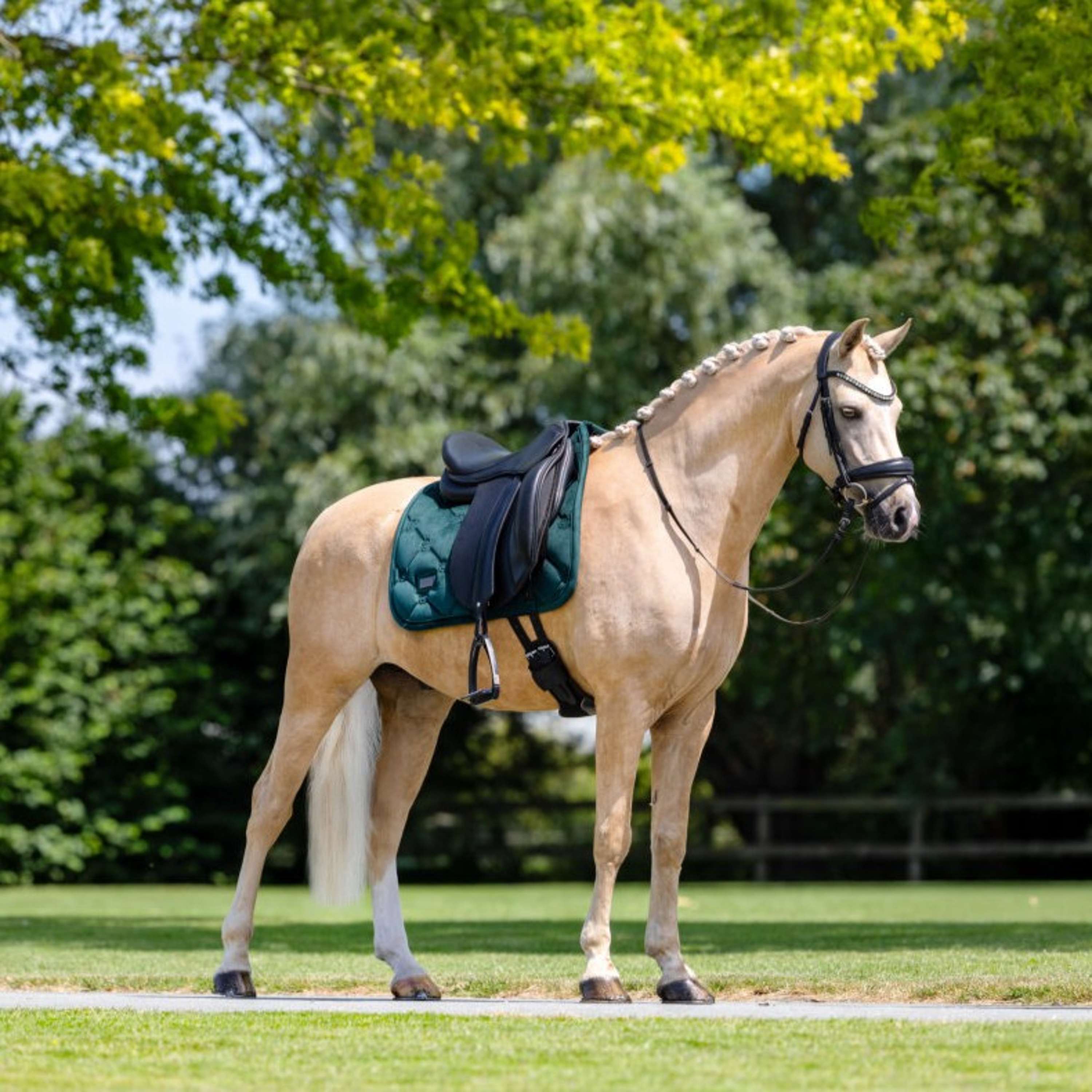 Equestrian Stockholm Zadeldekje Velvet Dressuur Sycamore Green