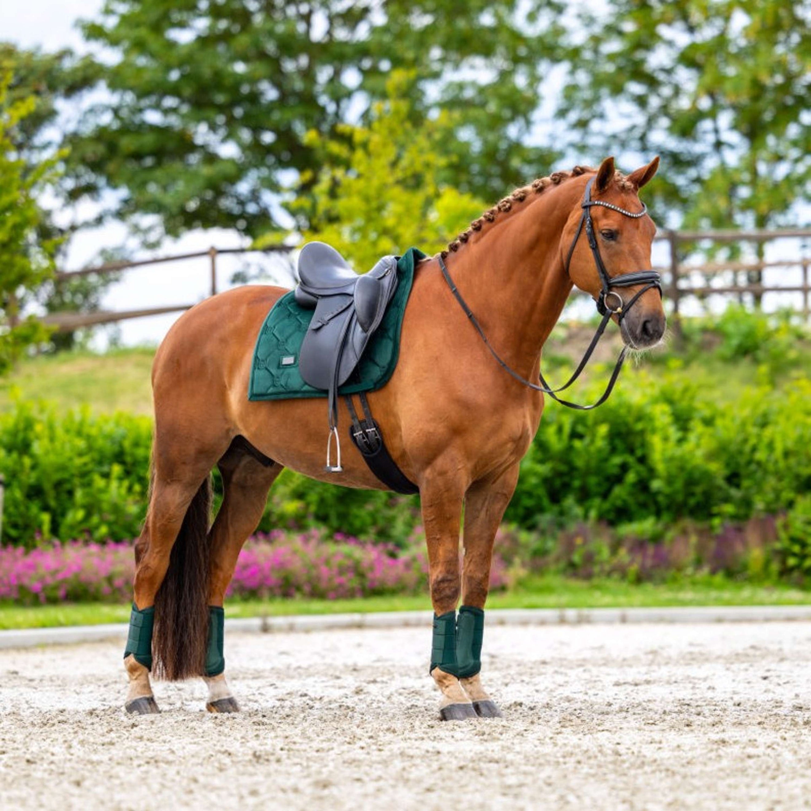 Equestrian Stockholm Zadeldekje Velvet Dressuur Sycamore Green Equestrian Stockholm Zadeldekje Velvet Dressuur Sycamore Green