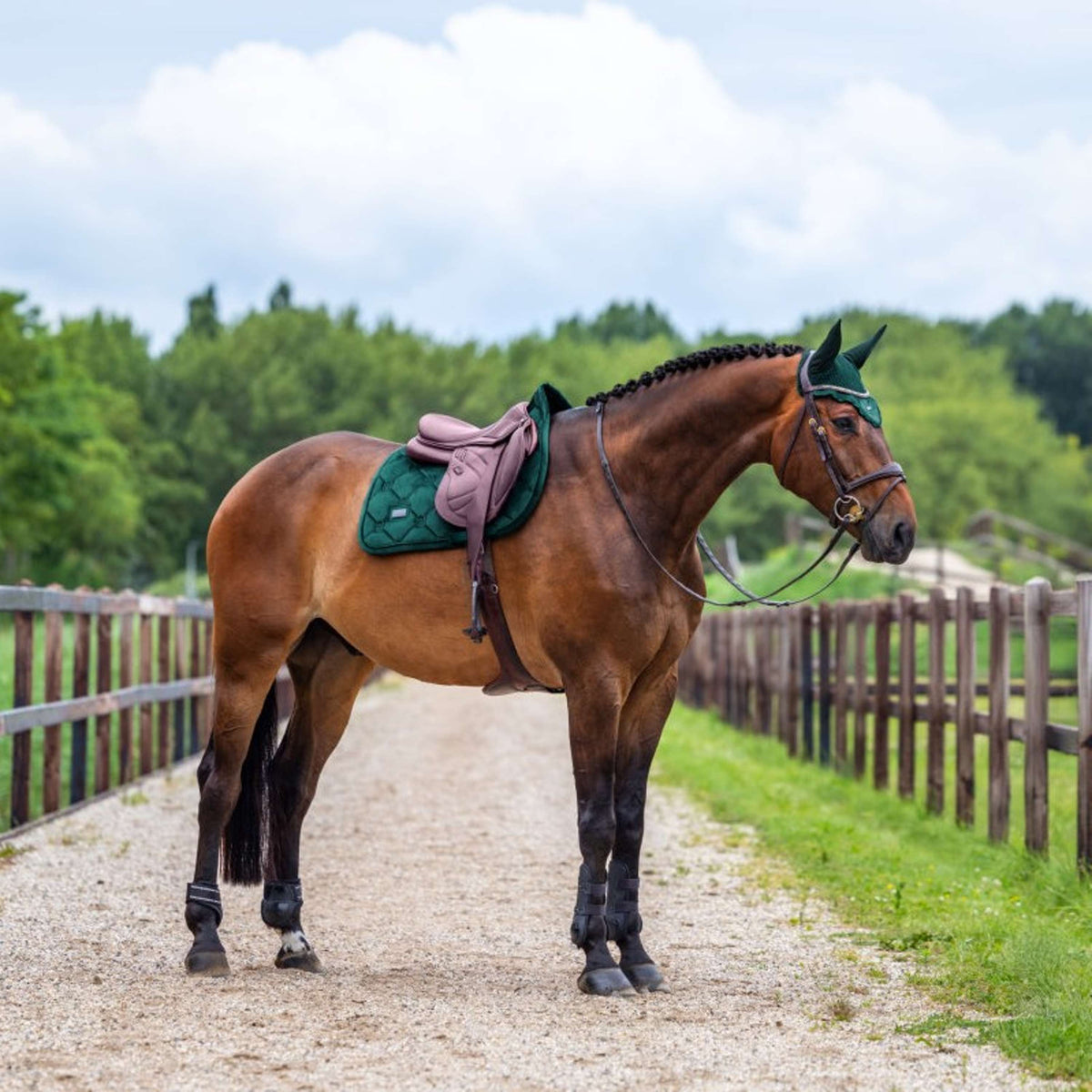 Equestrian Stockholm Oornetje Velvet Sycamore Green