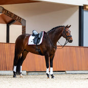 Equestrian Stockholm Zadeldekje Modern Dressuur Wit/Merlot
