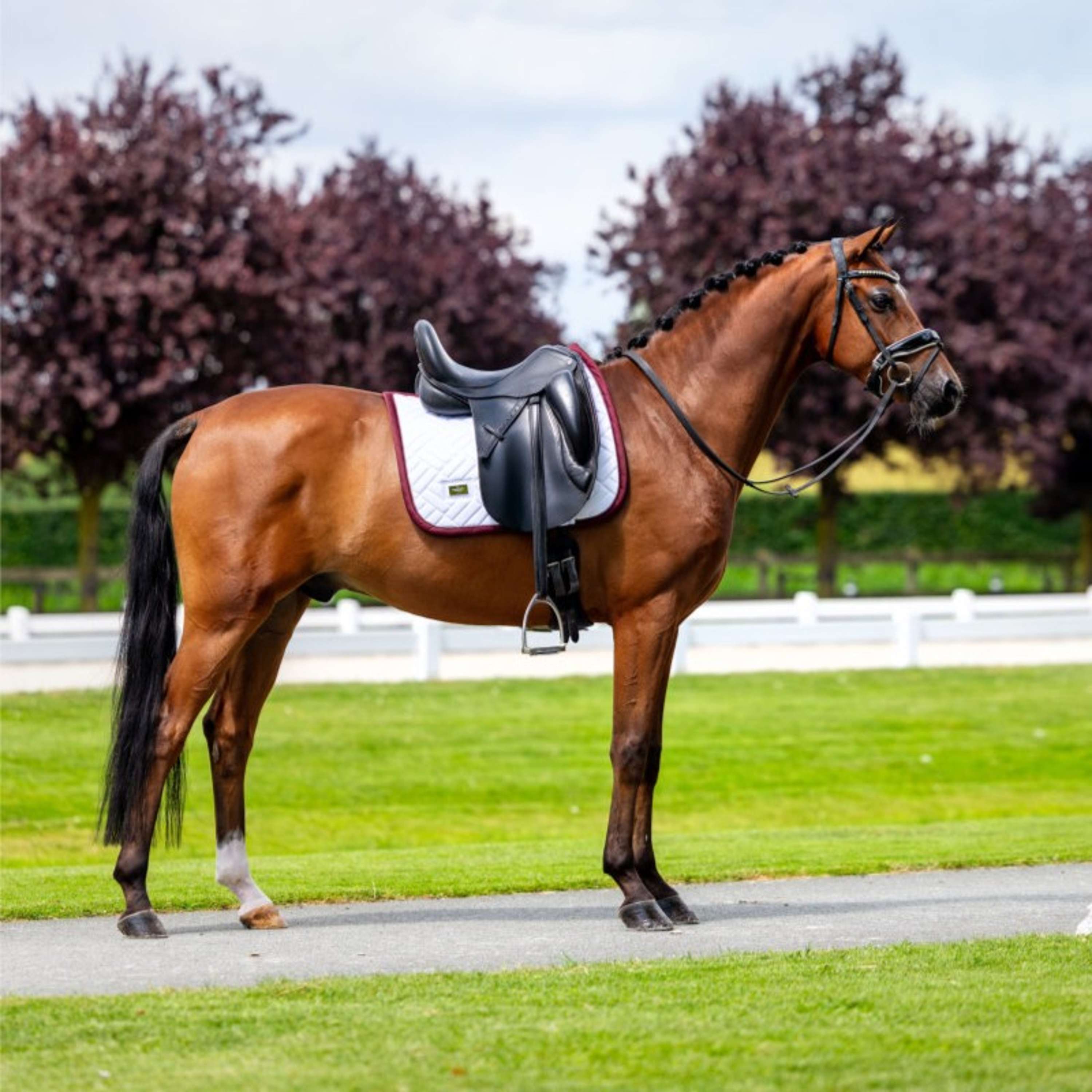 Equestrian Stockholm Zadeldekje Modern Dressuur Wit/Merlot