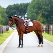 Equestrian Stockholm Zadeldekje Modern Springen Wit/Merlot