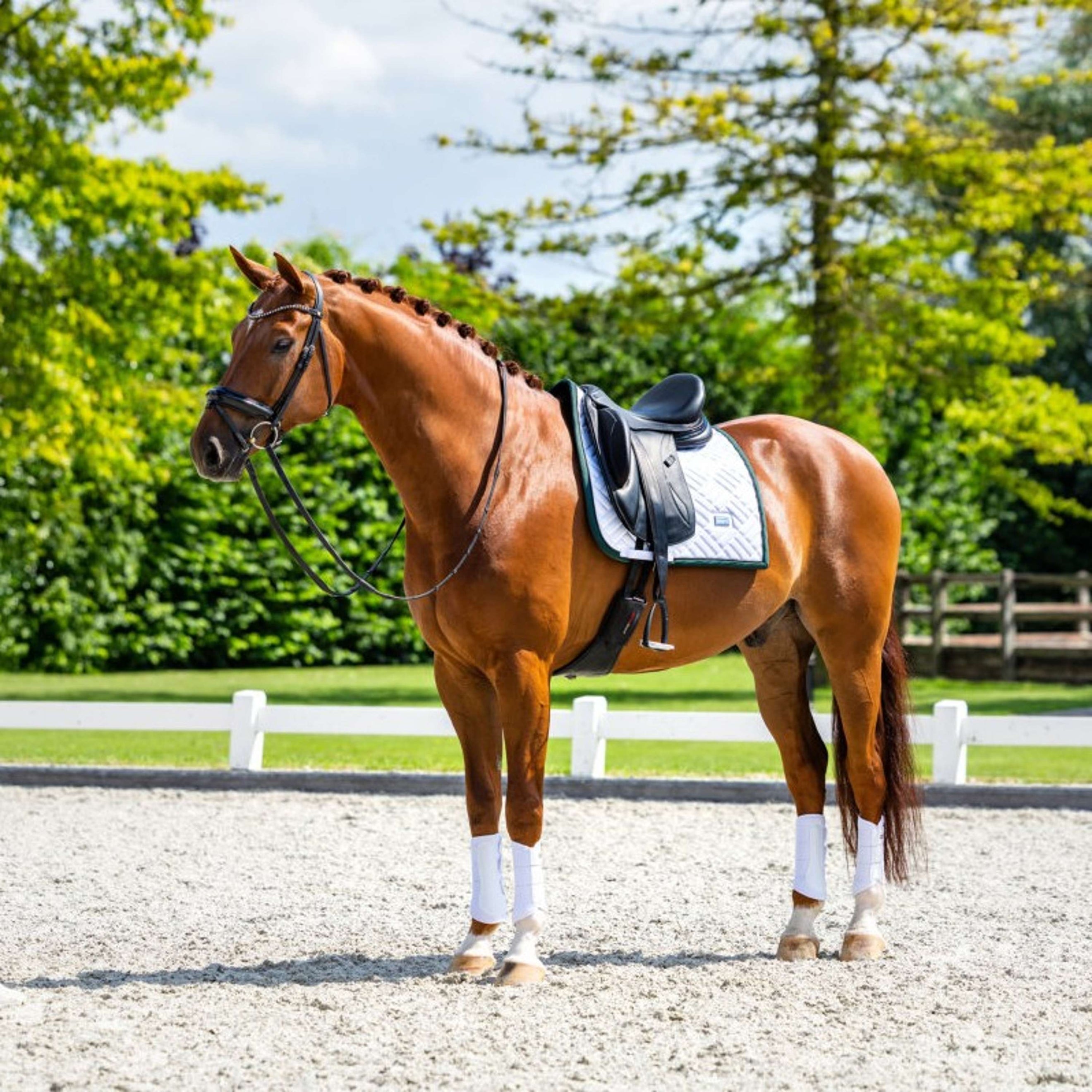 Equestrian Stockholm Zadeldekje Modern Dressuur Wit/Sycamore Green Equestrian Stockholm Zadeldekje Modern Dressuur Wit/Sycamore Green