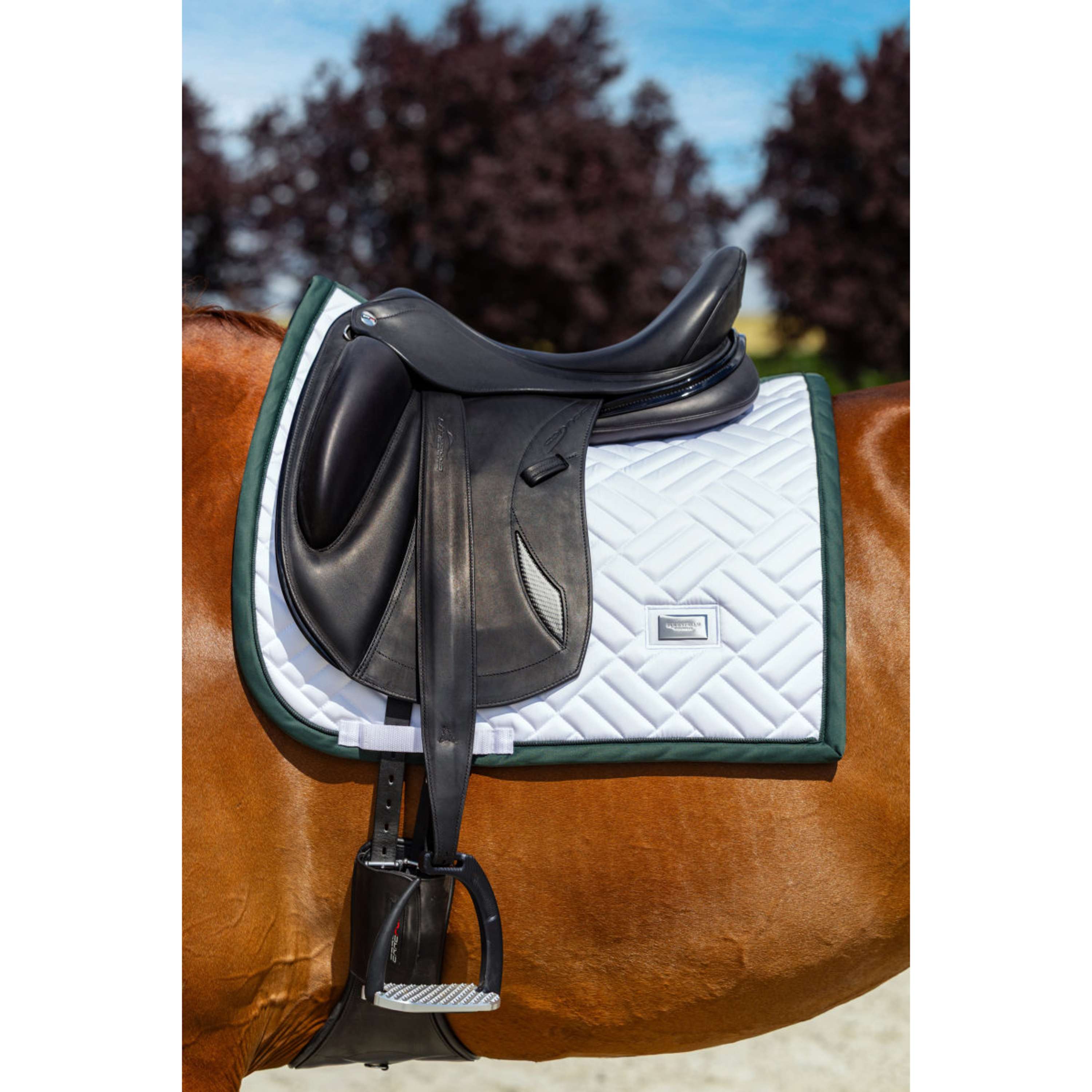 Equestrian Stockholm Zadeldekje Modern Dressuur Wit/Sycamore Green