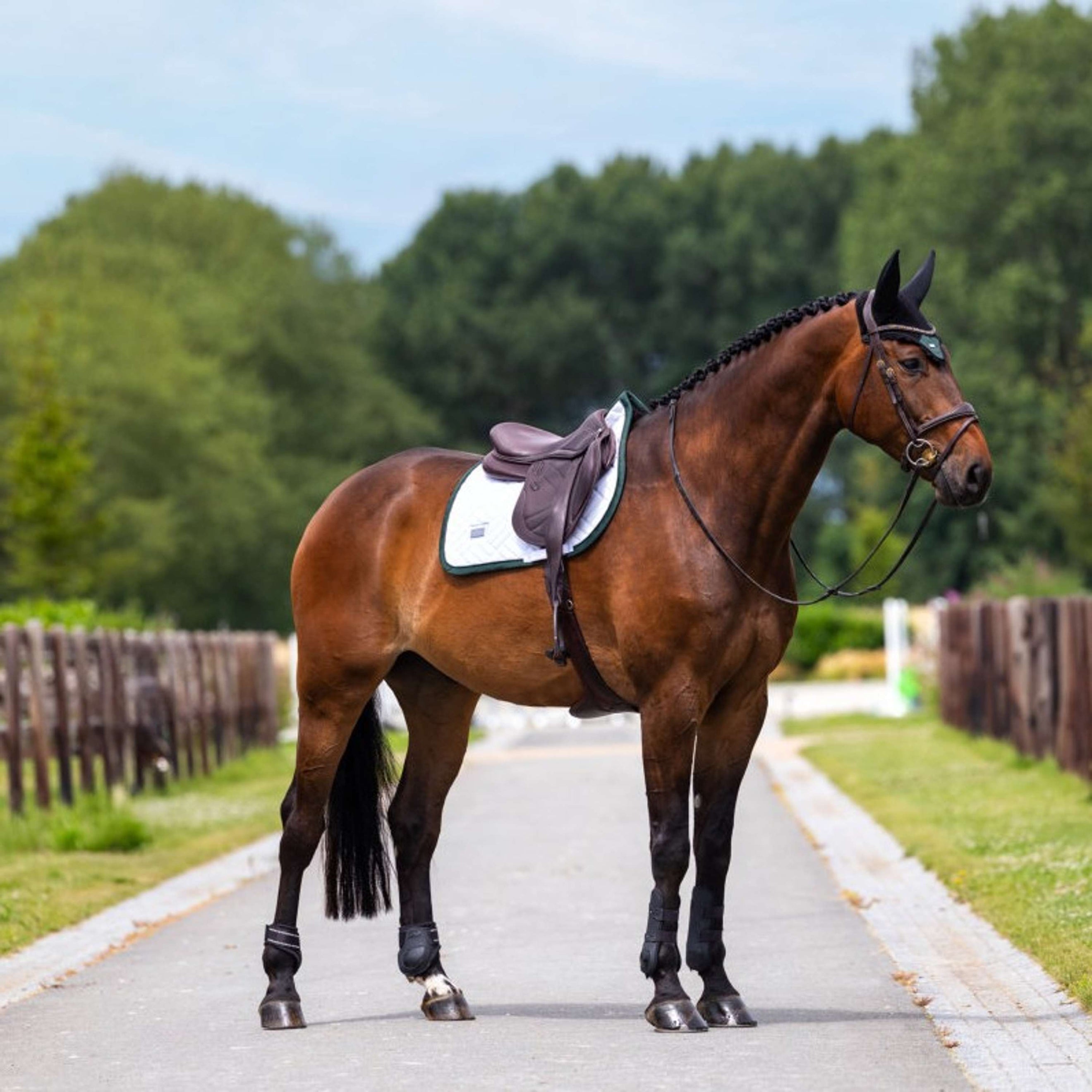 Equestrian Stockholm Zadeldekje Modern Springen Wit/Sycamore Green Equestrian Stockholm Zadeldekje Modern Springen Wit/Sycamore Green