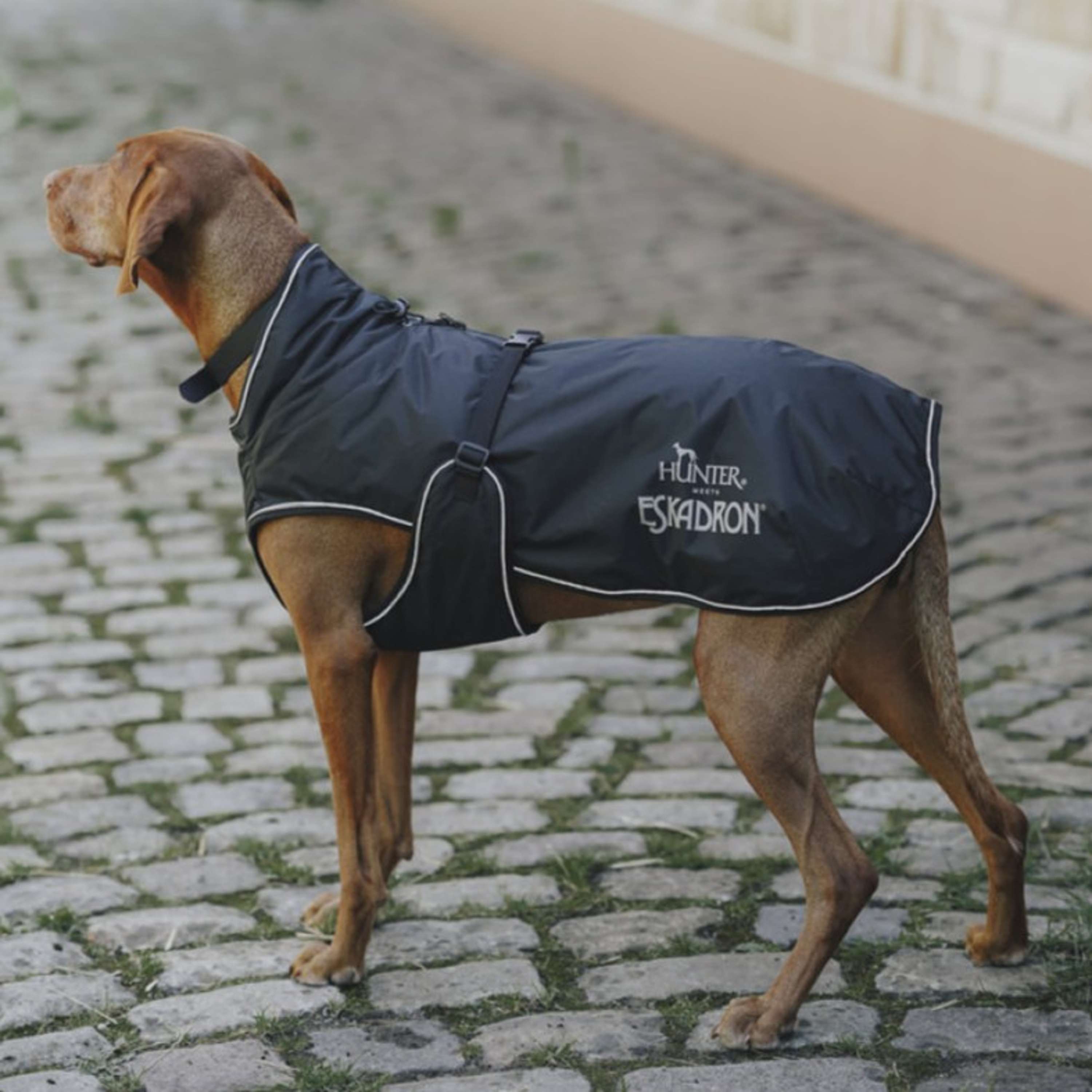 Hunter x Eskadron Honden Winterjas Vario Zwart