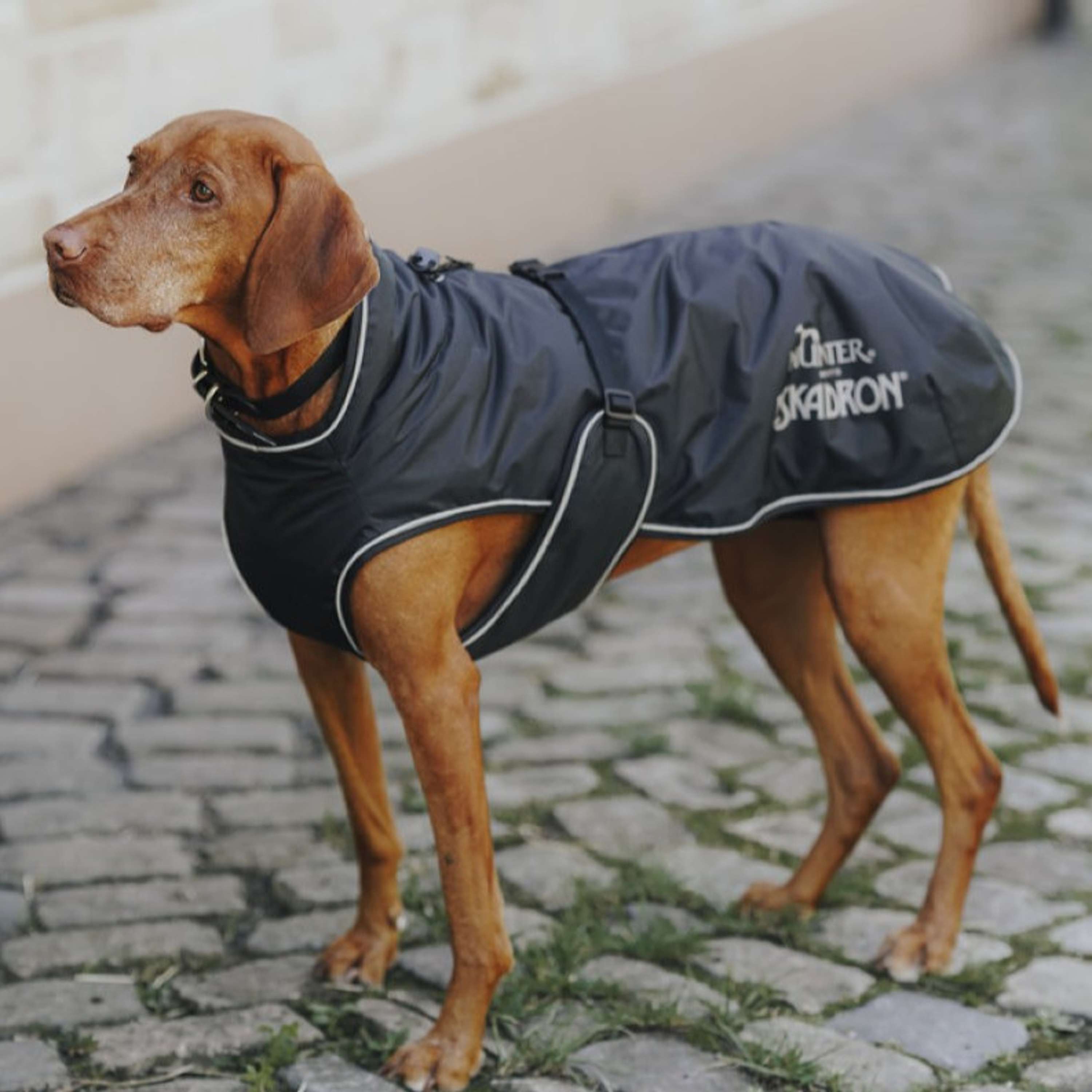 Hunter x Eskadron Honden Winterjas Vario Zwart