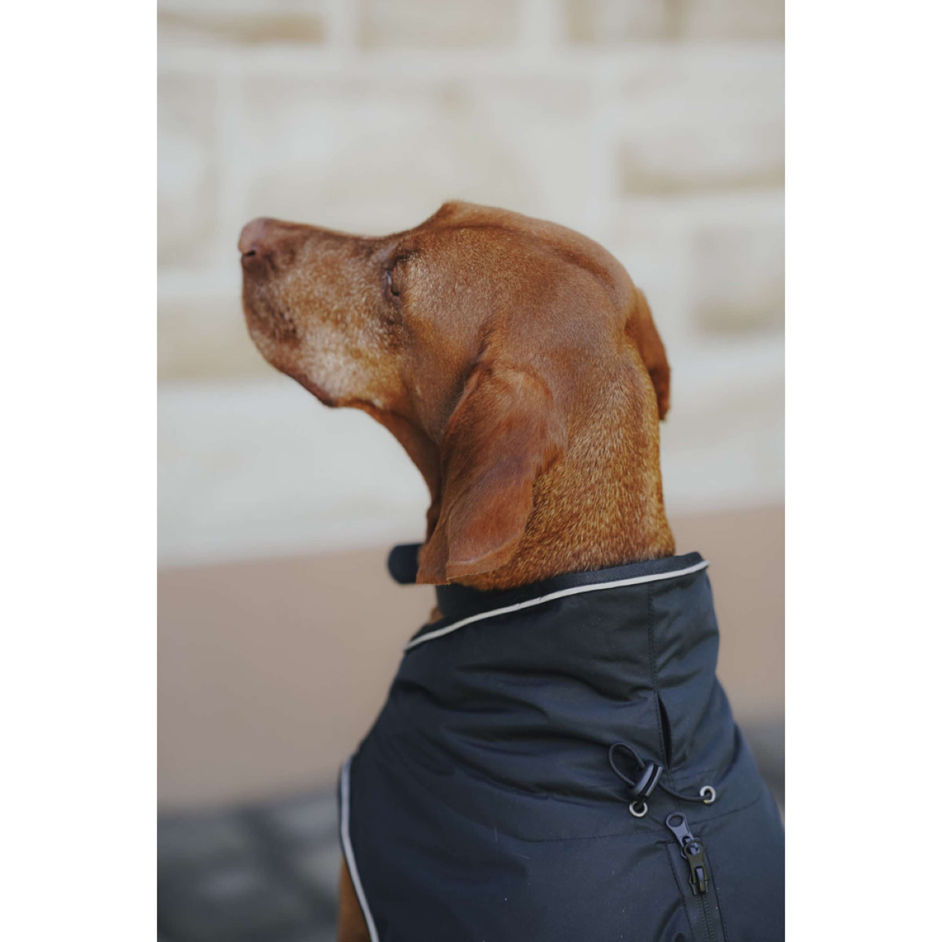 Hunter x Eskadron Honden Winterjas Vario Zwart