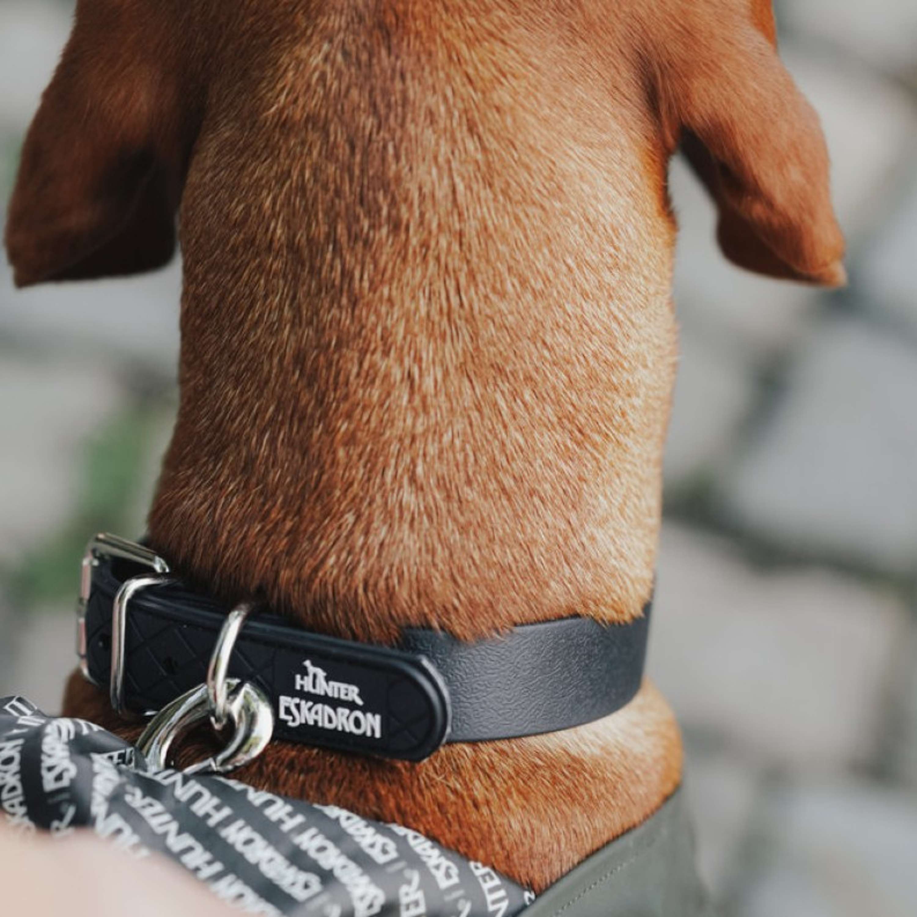 Hunter x Eskadron Hondenhalsband Spark Zwart