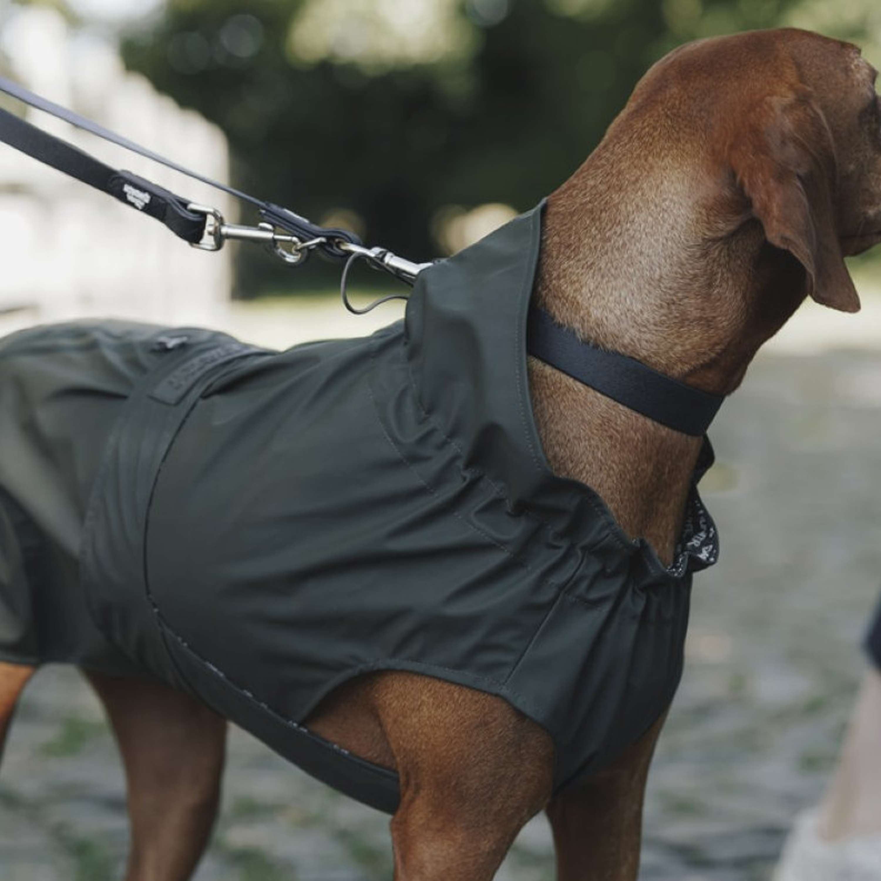 Hunter x Eskadron Honden Regenjas Rainshield Olive