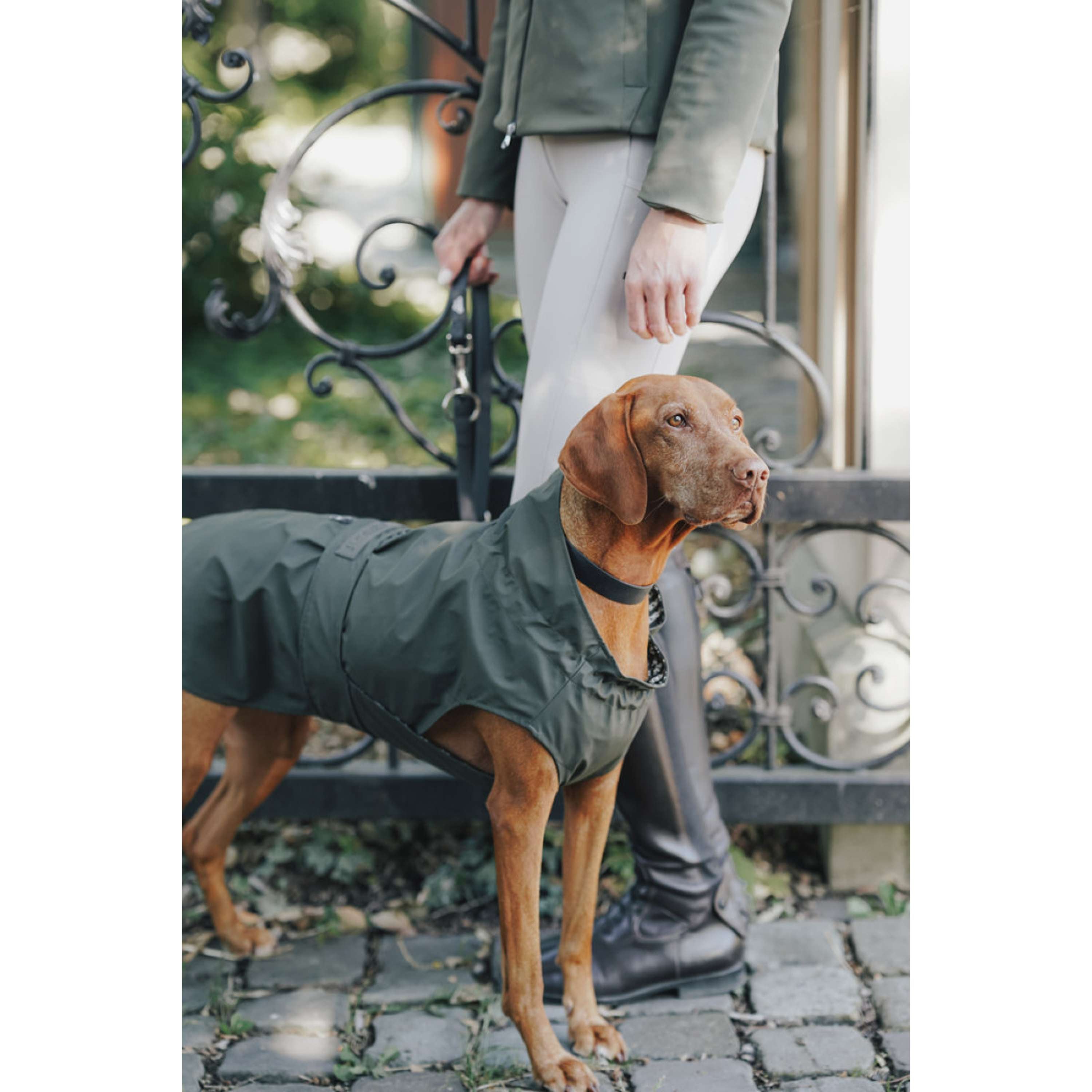 Hunter x Eskadron Honden Regenjas Rainshield Olive