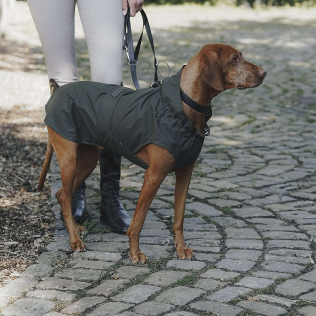Hunter x Eskadron Honden Regenjas Rainshield Olive