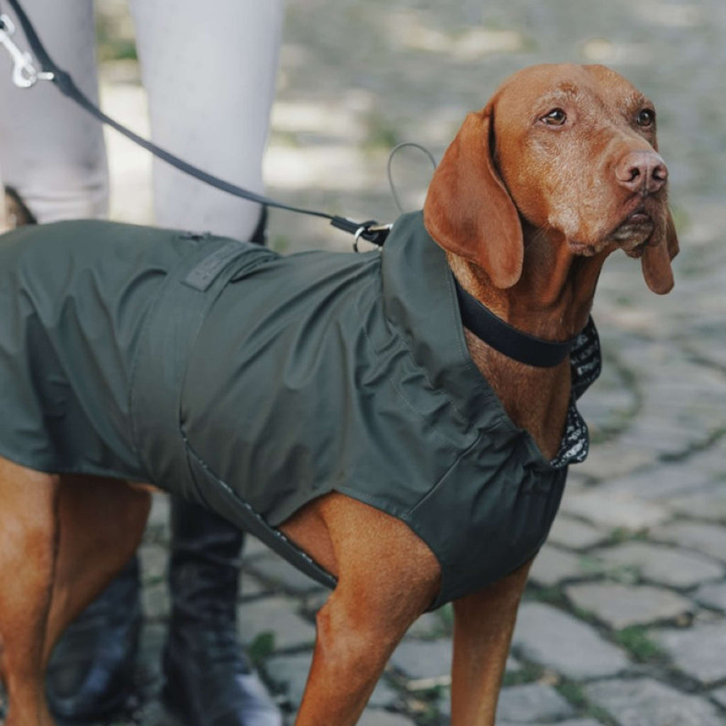 Hunter x Eskadron Honden Regenjas Rainshield Olive