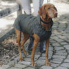 Hunter x Eskadron Honden Regenjas Rainshield Olive