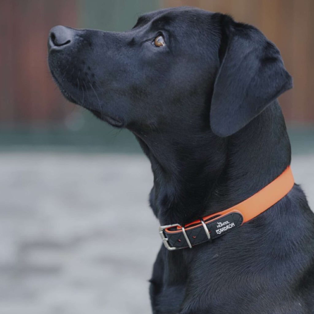 Hunter x Eskadron Hondenhalsband Spark Neon Oranje