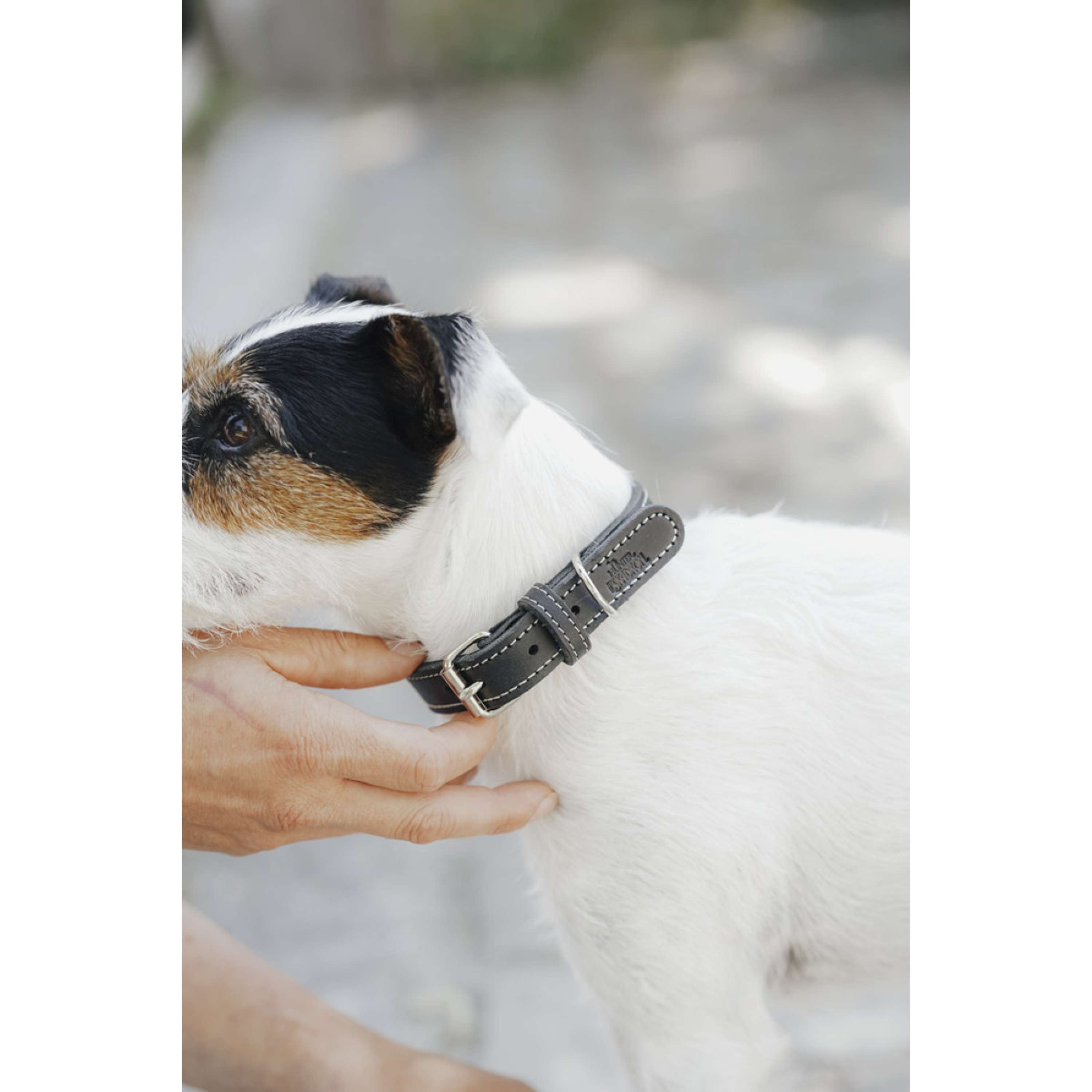 Hunter x Eskadron Hondenhalsband Craft Zwart