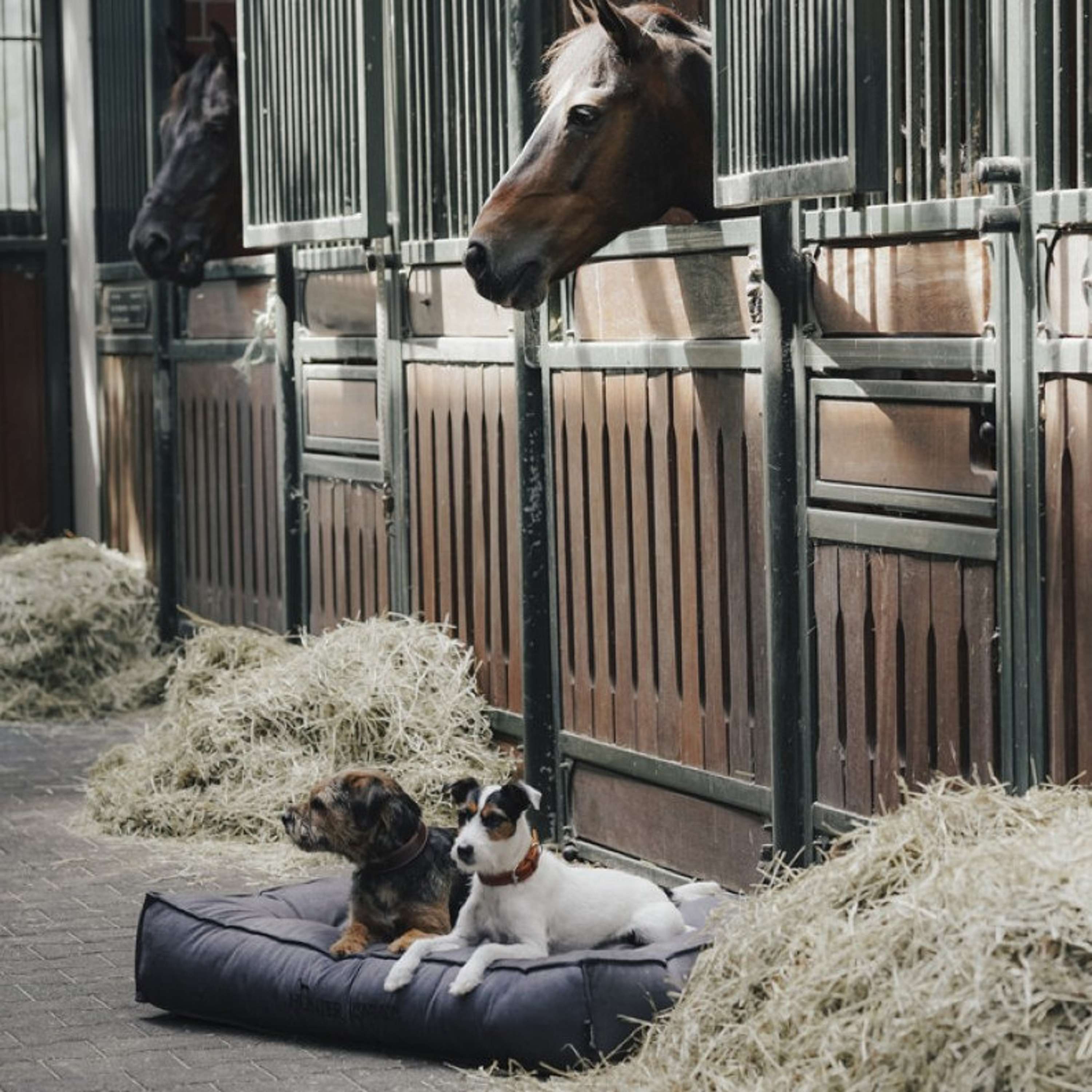 Hunter x Eskadron Hondenbed Chester Antraciet Checked