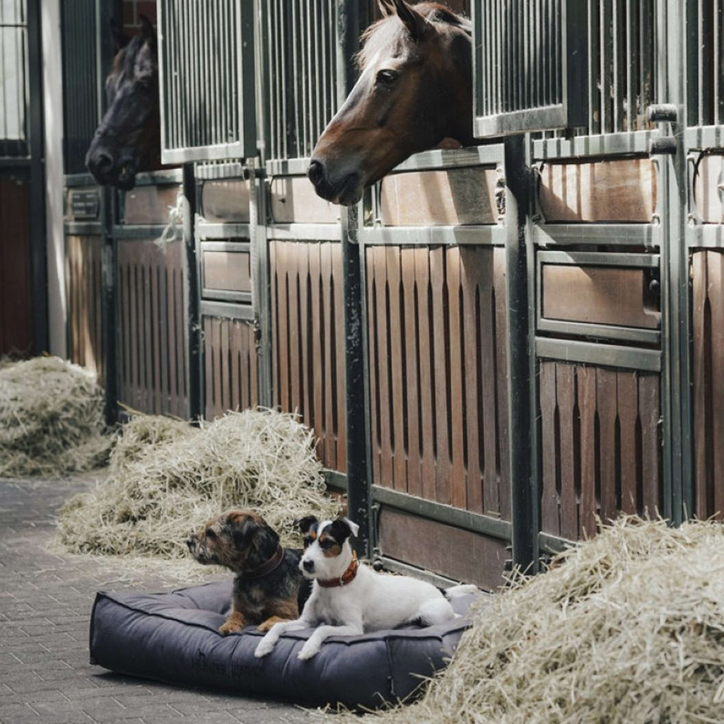 Hunter x Eskadron Hondenbed Chester Antraciet Checked