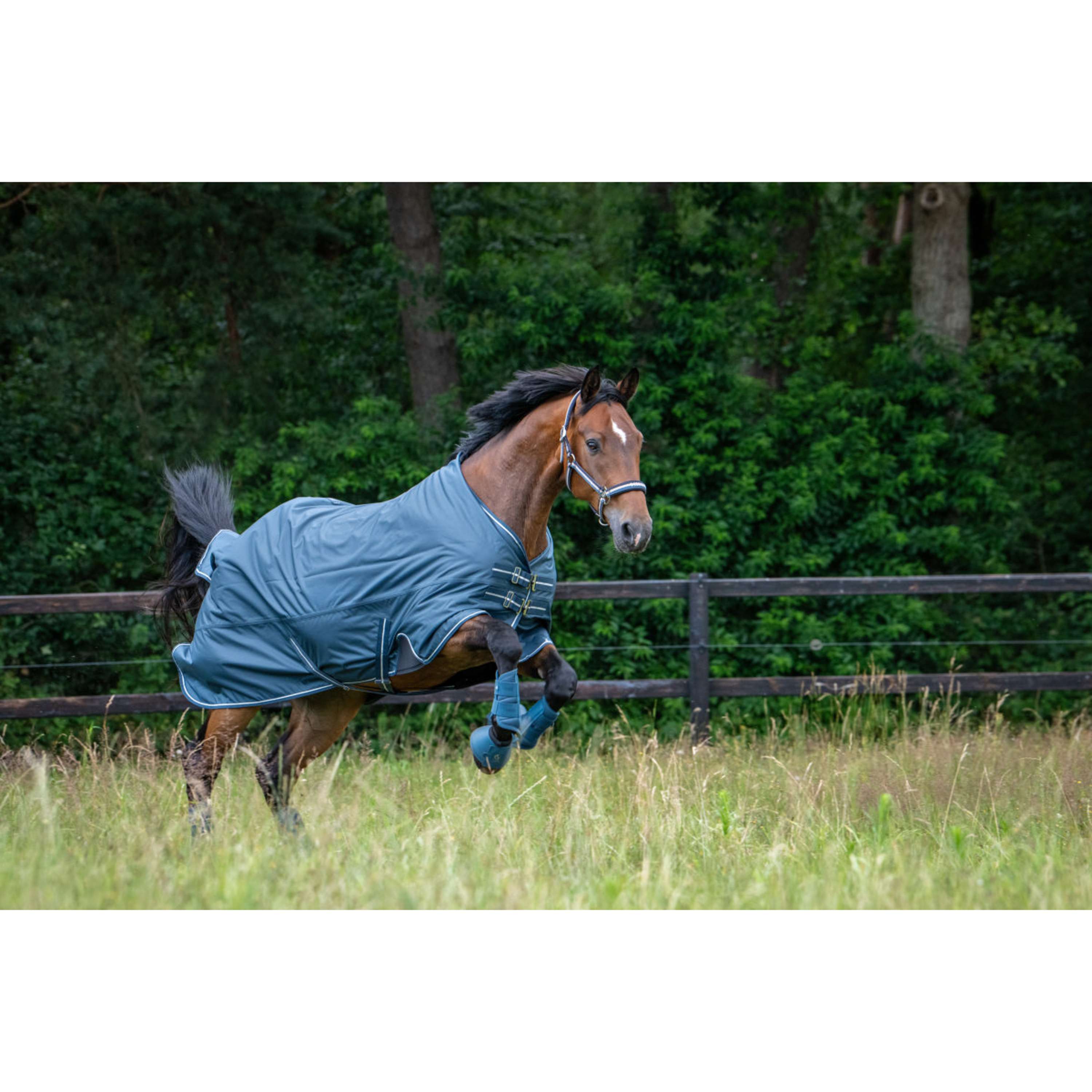 Eskadron Halster Classic Sports Double Pin Ocean/Sierra/Navy