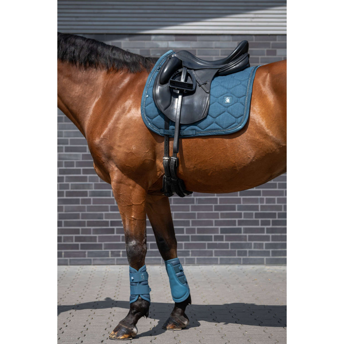 Eskadron Zadeldekje Classic Sports Bouclé Crustal Dressuur Ocean