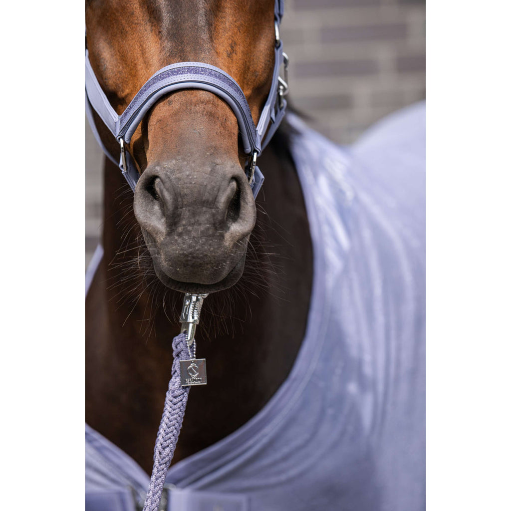 Eskadron Halster Classic Sports Softshell Jewel Orchid