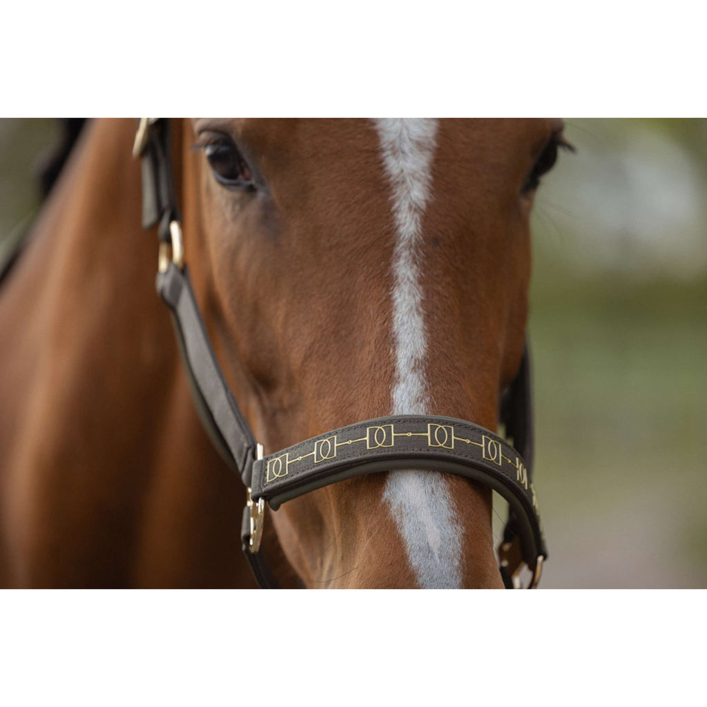 Eskadron Halster Heritage Sparkle Double Pin Deep Moss