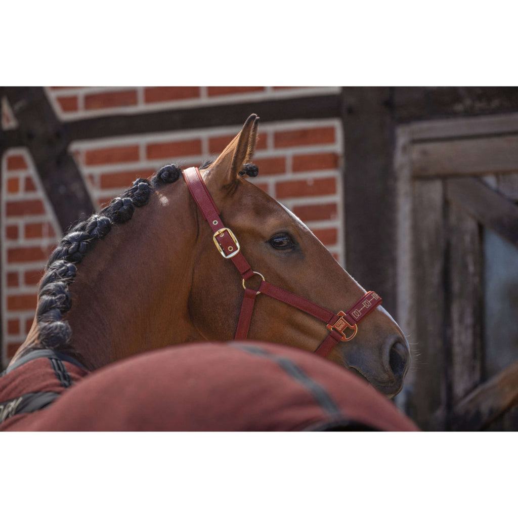 Eskadron Halster Heritage Sparkle Double Pin Merlot