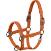 Eskadron Halster Platinum '26 Faux Leather Jewel Amber