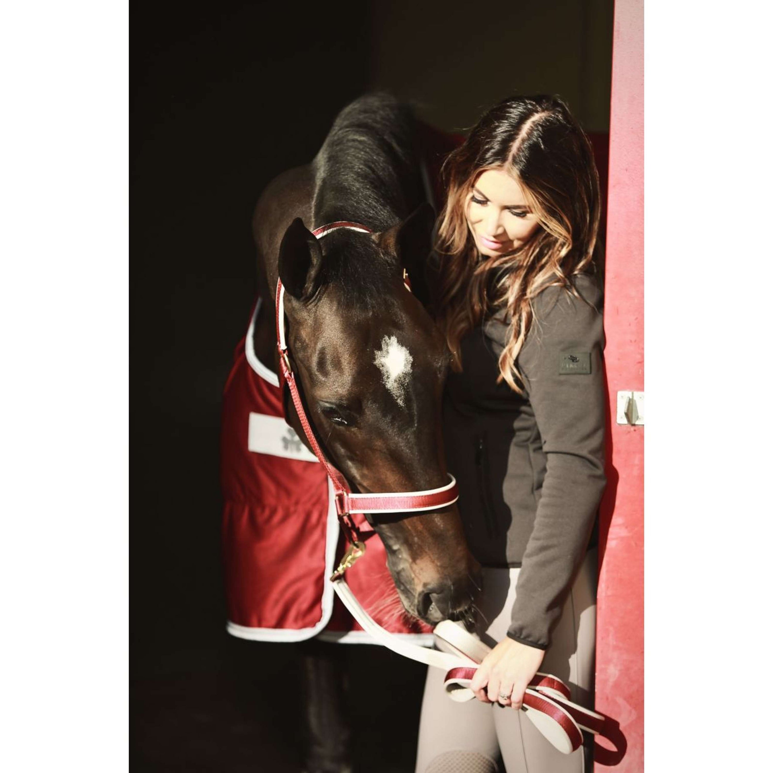 Bucas Lead Rein Dublin Padded Wine/Silver