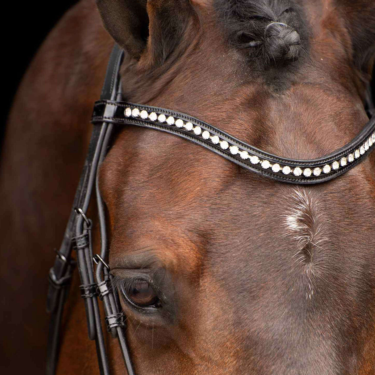 Imperial Riding Hoofdstel IRHAthena Zwart