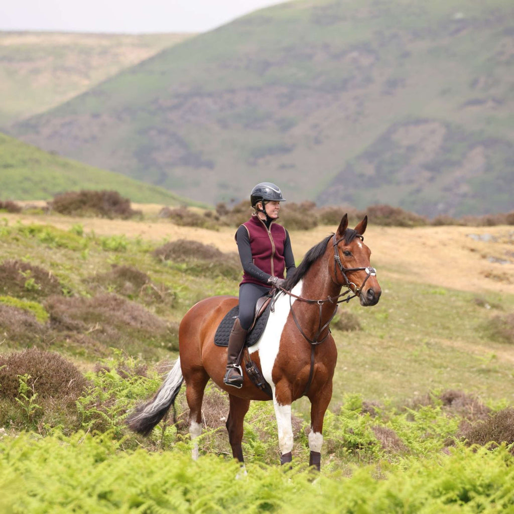 Aubrion by Shires Bodywarmer Original Fleece Maroon