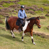 Aubrion by Shires Trui Original Fleece Blauw