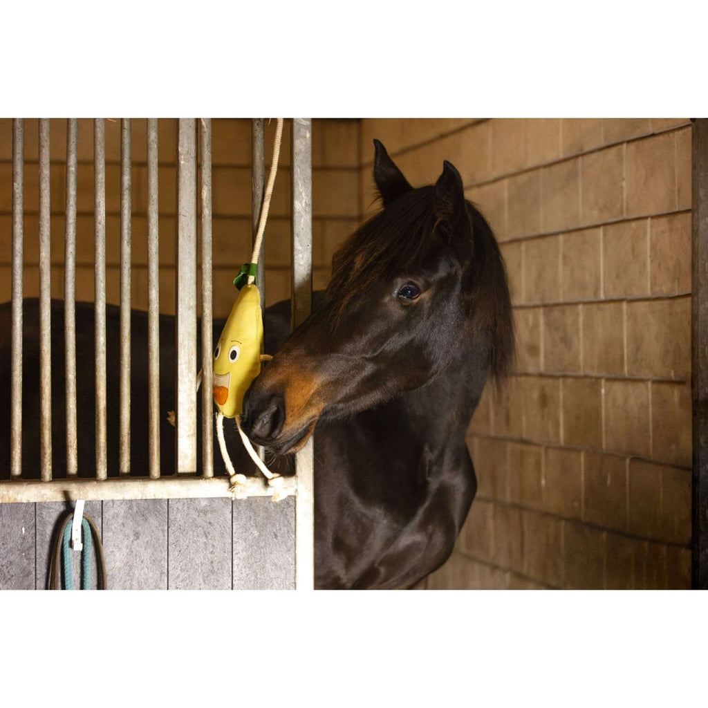 Excellent Horse Foodie Friends Pear