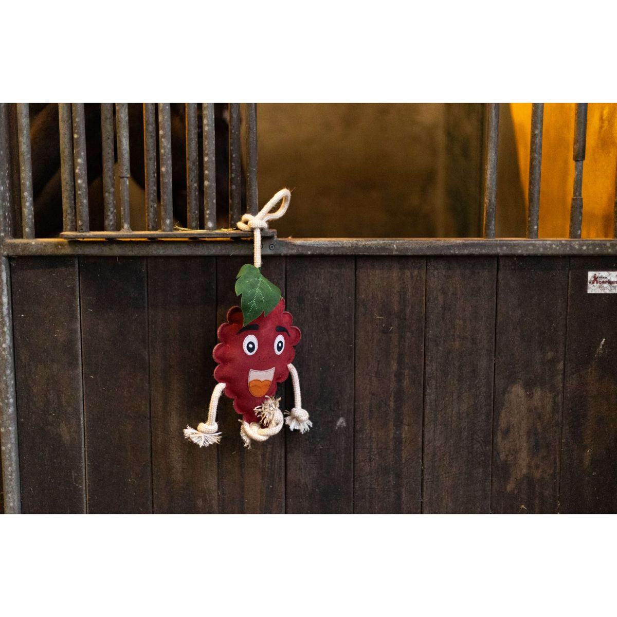 Excellent Horse Foodie Friends Raspberry