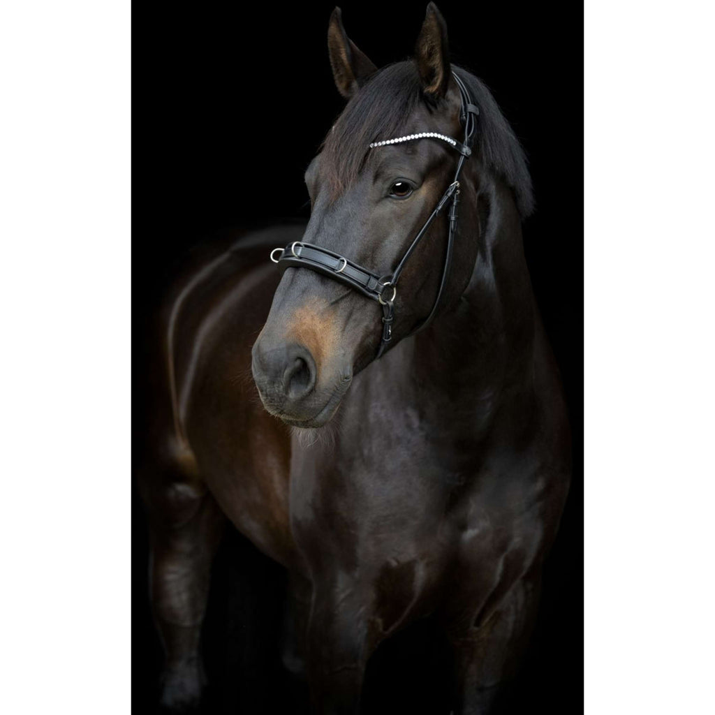 Catago Keelriem Gentle met Gespen Zwart