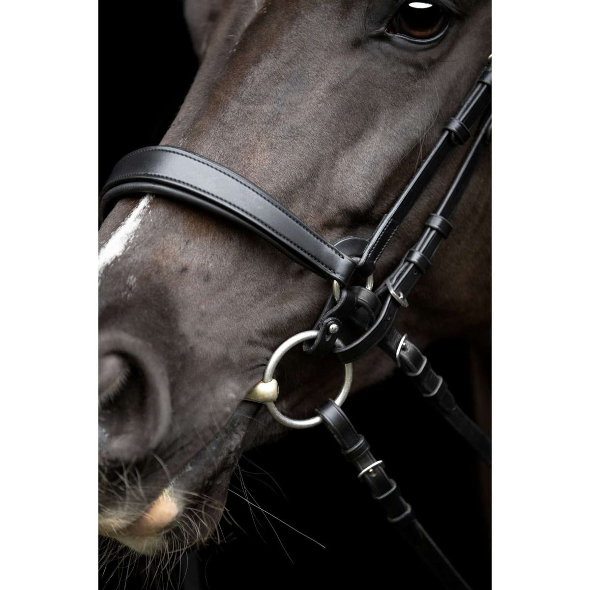 Catago Neusriem Gentle Zwart