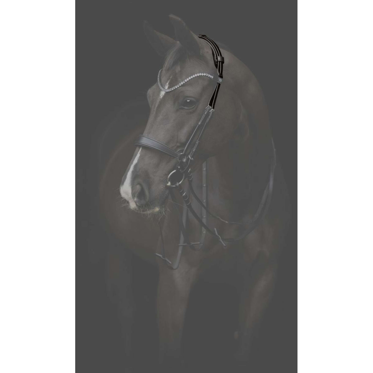 Catago Kopstuk Gentle Bruin