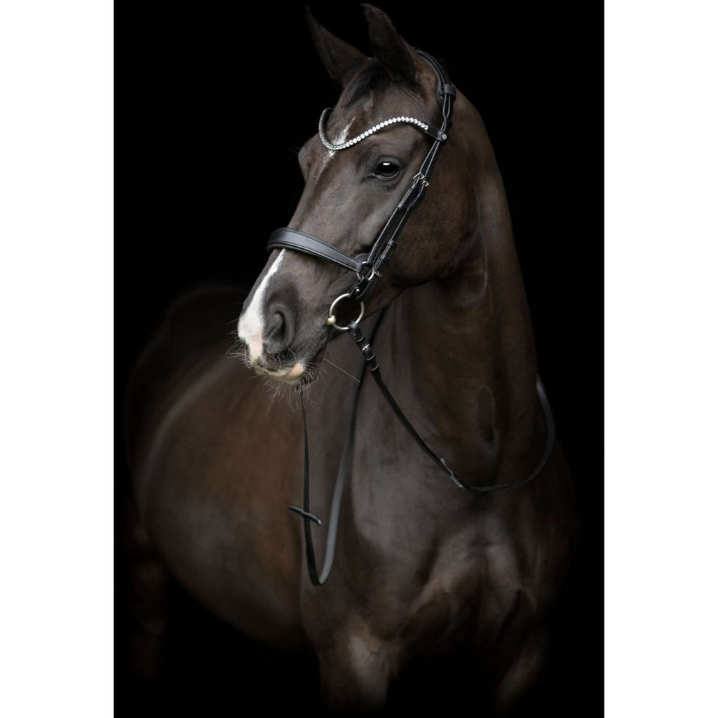 Catago Neusriem Gentle Zwart