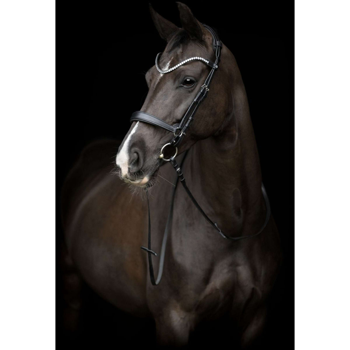 Catago Neusriem Gentle Zwart