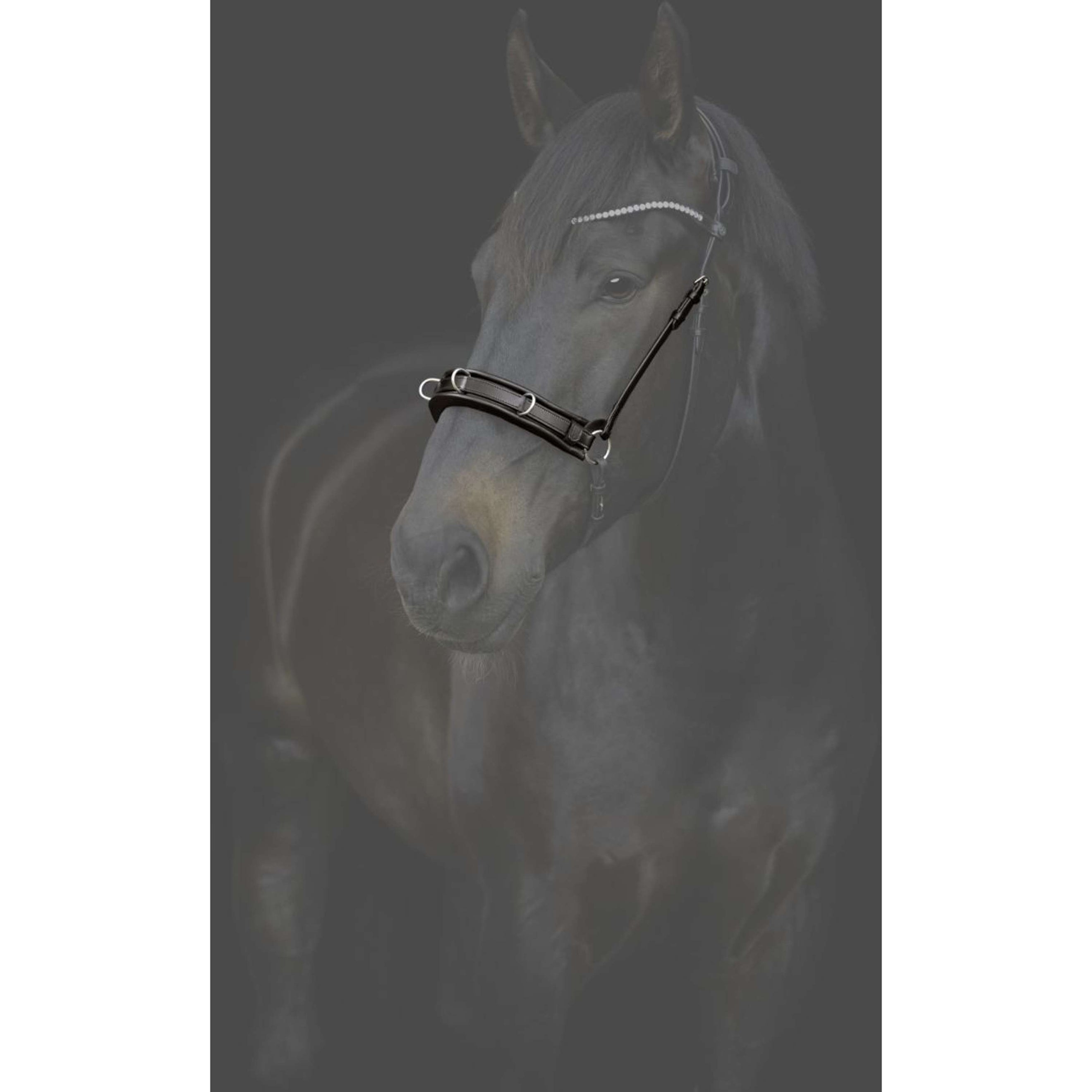 Catago Neusriem Kaptoom Gentle Zwart Catago Neusriem Kaptoom Gentle Zwart