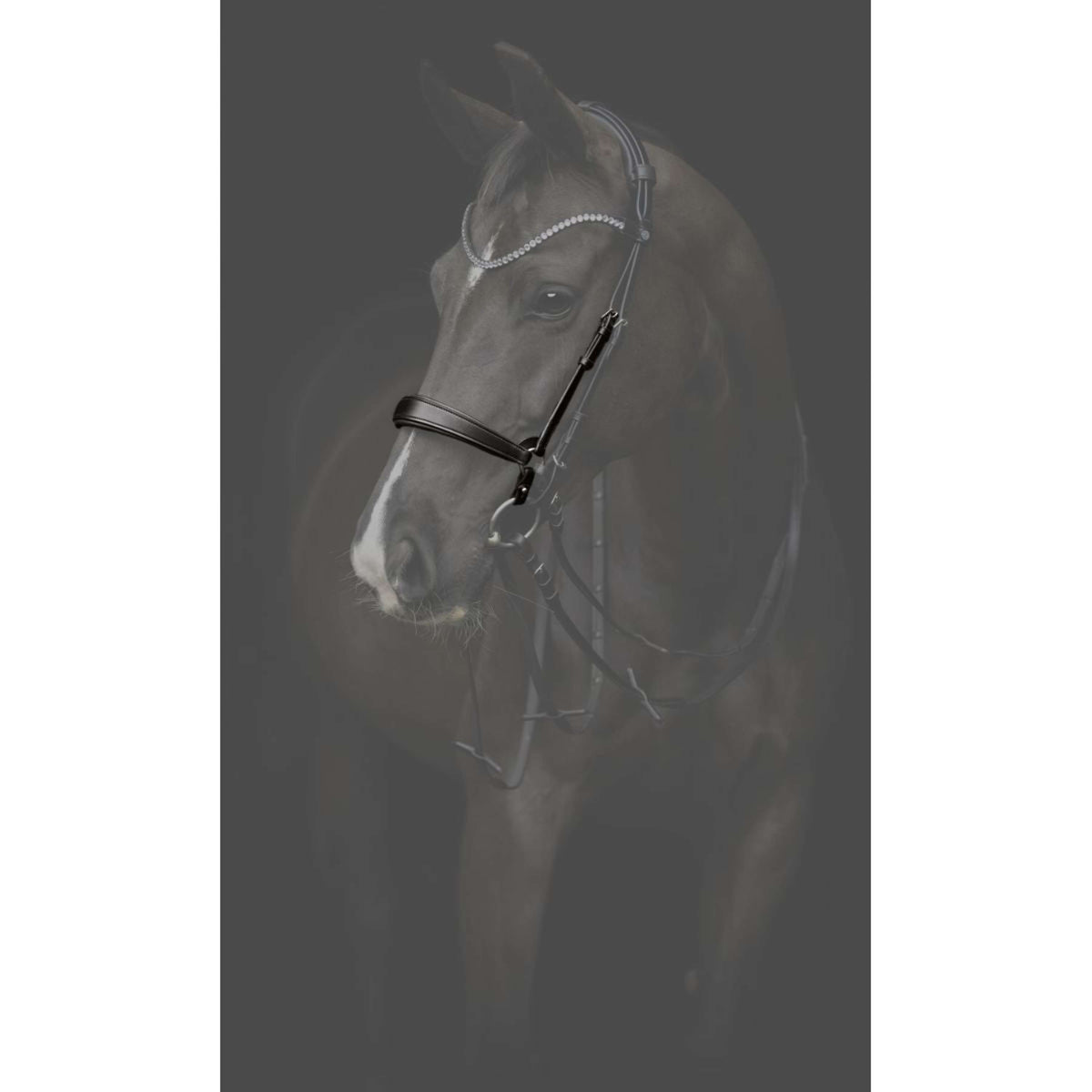 Catago Neusriem Gentle Zwart